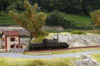 Croco03.jpg (282785 byte)