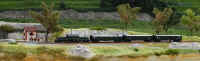 Croco06.jpg (185638 byte)