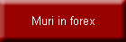 Muri in forex