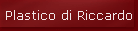 Plastico di Riccardo