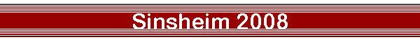 Sinsheim 2008