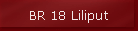 BR 18 Liliput
