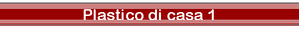 Plastico di casa 1