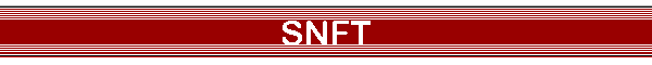 SNFT