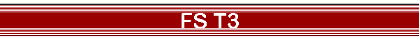 FS T3