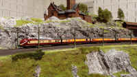 Carnate200501.jpg (128016 byte)