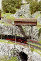 Carnate200504.jpg (158430 byte)