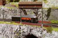 Carnate200517.jpg (132952 byte)