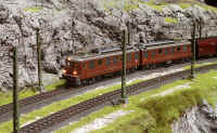 Carnate200520.jpg (151379 byte)