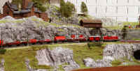 Carnate200521.jpg (118354 byte)