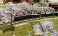 Carnate200529.jpg (155128 byte)