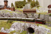 Carnate200530.jpg (151517 byte)