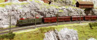 Carnate200531.jpg (199903 byte)