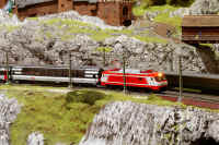 Carnate200533.jpg (160020 byte)