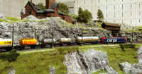 Carnate200536.jpg (172437 byte)