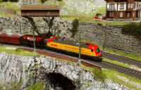 Carnate200537.jpg (223356 byte)