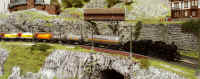 Carnate200539.jpg (139683 byte)