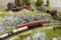 Carnate200540.jpg (161071 byte)