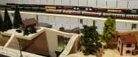 Carnate200541.jpg (68346 byte)