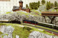 Carnate200542.jpg (220438 byte)